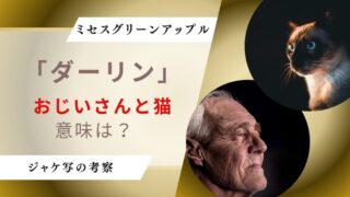 ダーリンジャケ写